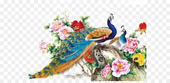 Chinese Painting Techniques Bird Peafowl Wall decal - FIG flowers Peacock 