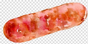 Chinese sausage Hot dog Salami Bacon, sausage transparent background PNG clipart