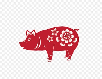 Chinese zodiac Chinese New Year Chinese astrology - chinese new year red envelopes library 