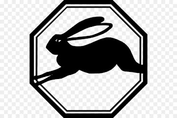 Chinese zodiac Rabbit Dog Chinese calendar - rabit 