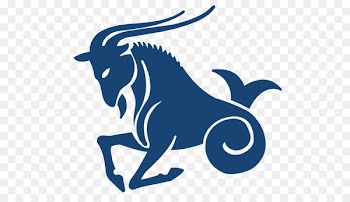 Chinese Zodiac Signs Capricorn Astrological sign Astrology - capricorn 