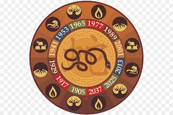 Chinese zodiac Snake Horoscope Chinese calendar Dragon - snake 