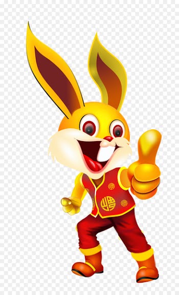 Chinese zodiac Sticker Rooster Rabbit Adhesive - Bunny thumbs up 