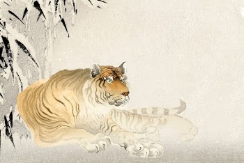 Chinese zodiac tiger background, animal | Free Photo - rawpixel