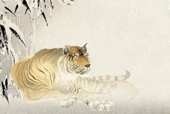 Chinese zodiac tiger background, animal | Free Vector - rawpixel