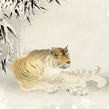 Chinese zodiac tiger background, animal | Free Vector - rawpixel