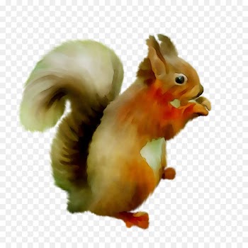 Chipmunk Fauna Beak Chicken as food -  