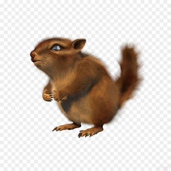 Chipmunk Fox squirrel Animation - animator background 