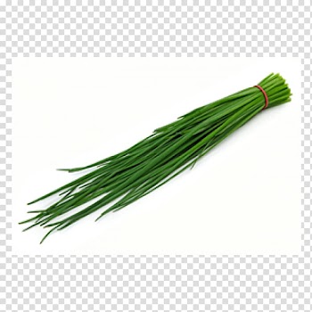 Chives Allium fistulosum Herb Vegetable Common sage, vegetable transparent background PNG clipart