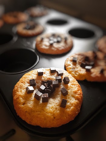 Chocolate Cupcakes
