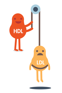 Cholesterol png 2 » PNG Image