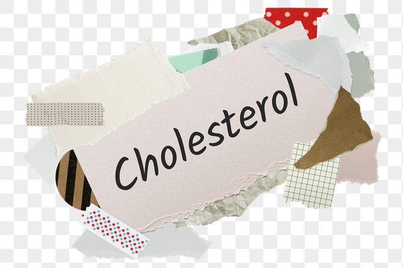 Cholesterol png word sticker, aesthetic | Free PNG - rawpixel