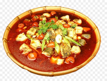 Chongqing Mapo doufu Sichuan cuisine Food Pungency - Spicy fish 