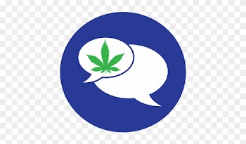 Choosing Not To Use Cannabis Is The Best Way To Avoid - Framed Canvas Art - Friday Minimal Movie Poster