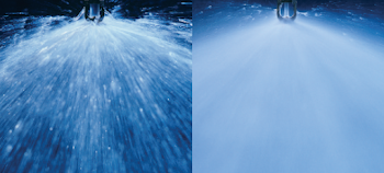 Choosing the Right Sprinkler System | | RosesandBeyond