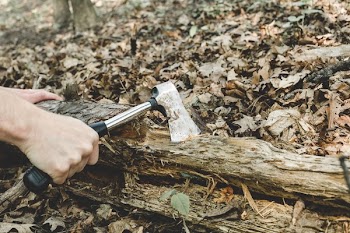 Chopping Wood In Forest