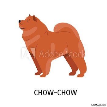 Chow Chow