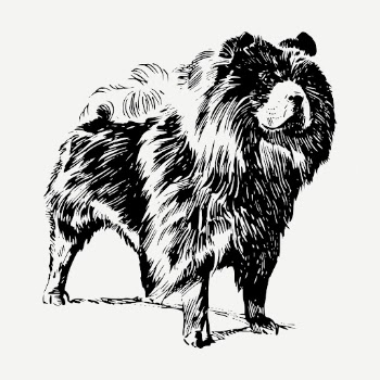 Chow Chow dog drawing, hand | Free PSD - rawpixel