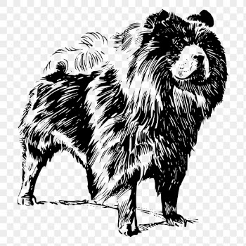 Chow Chow dog png drawing, | Free PNG - rawpixel