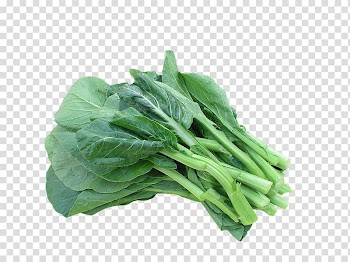Choy sum Organic food Thai cuisine Vegetable Chinese broccoli, Broccoli dish transparent background PNG clipart