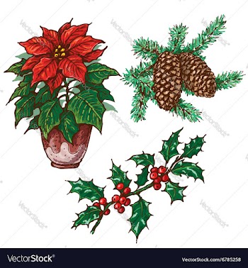  					Chrirtmas plants vector image														