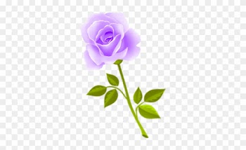 Christine Staniforth ♛༻ - Png Rose Png Guldasta