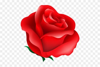 Christine Staniforth ♛༻ Red Roses, Flower Art, Paper - Rose Heart R