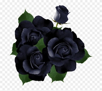 Christine Staniforth ♛༻ - Rose