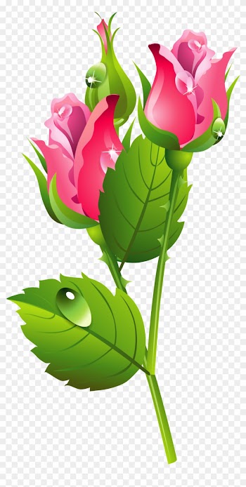 ༺♛ Christine Staniforth ♛༻ - Rose Flower Sticker