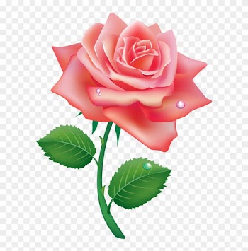 ♛ Christine Staniforth ♛༻ - Single Rose