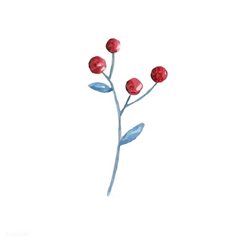 Christmas berries painted by watercolor vecto.. | Free stock vector - 489172