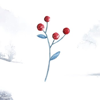 Christmas berries painted by watercolor vecto.. | Free stock vector - 489173