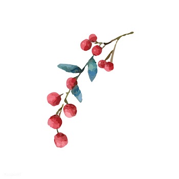 Christmas berries painted by watercolor vecto.. | Free stock vector - 489194