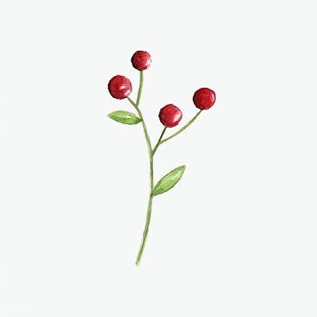Christmas berries painted by watercolor vecto.. | Free stock vector - 489294