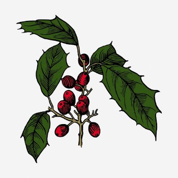 Christmas berry clipart, vintage decoration | Free Photo - rawpixel
