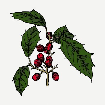 Christmas berry collage element, vintage | Free PSD - rawpixel