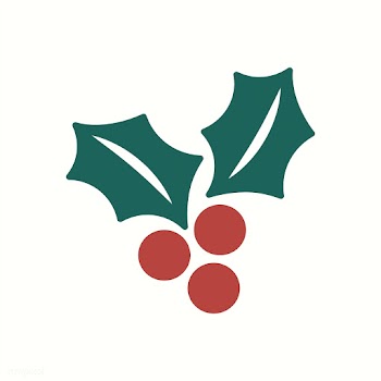 Christmas berry icon decoration vector | Free stock vector - 511572