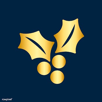 Christmas berry icon decoration vector | Free stock vector - 511646