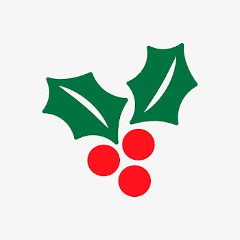Christmas berry icon decoration vector | Free stock vector - 511681