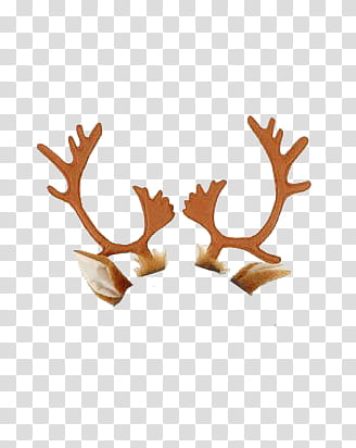 Christmas, brown deer antlers transparent background PNG clipart