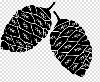 Christmas brushes, black and white printed textile transparent background PNG clipart
