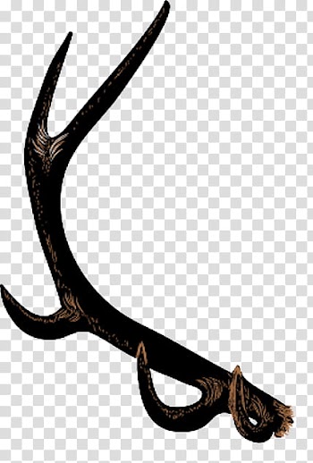 Christmas brushes , brown antler transparent background PNG clipart
