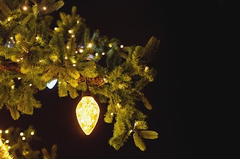 Christmas bulb outdoors