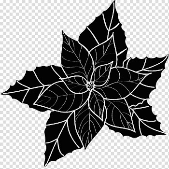 Christmas c, black plant illustration transparent background PNG clipart
