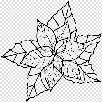 Christmas c, of flower transparent background PNG clipart