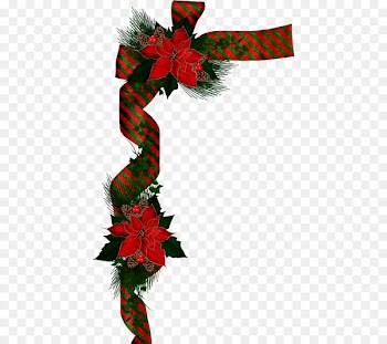 Christmas card Poinsettia Holiday Clip art - traditional decoration 