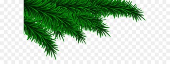Christmas Clip art - Christmas Pine Branches Decorating PNG Clip Art Image 