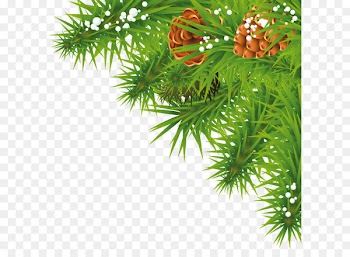 Christmas Clip art - Fir-tree branch PNG image 