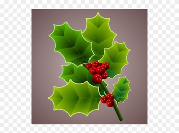 Christmas Common Holly - Christmas Common Holly