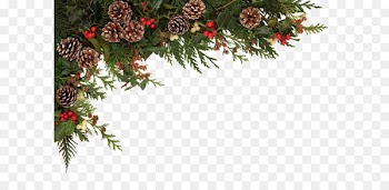 Christmas Common holly Stock photography Clip art - Christmas decoration 